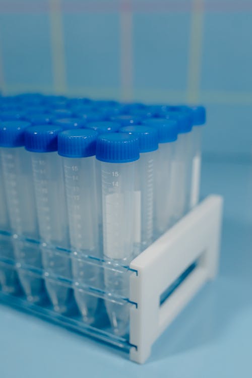 Green Gold: How Fats and Oils are Revolutionizing Sustainable Chemistry 