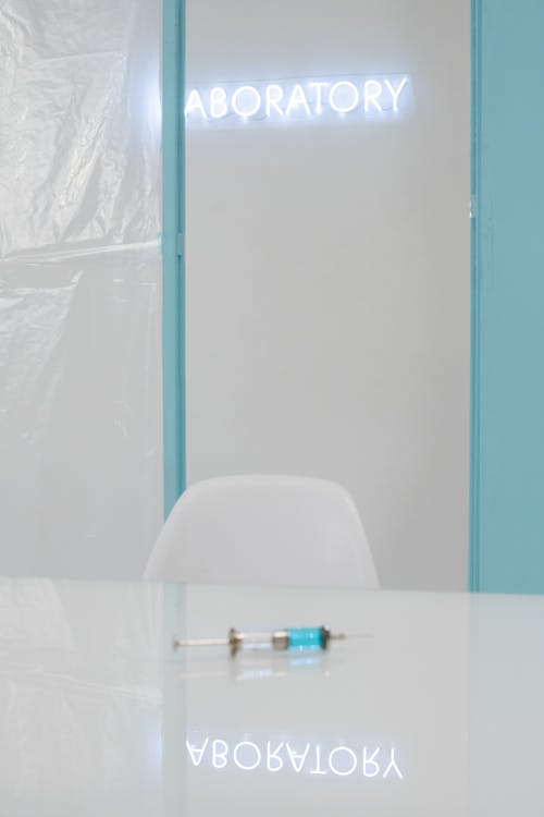 Smart Catalytic Materials: The Dynamic Engines Powering the Energy Revolution