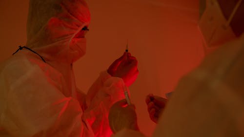 Nature's Palette: The Secret Lives of Plant Pigments and How Science is Rewriting Their Code 