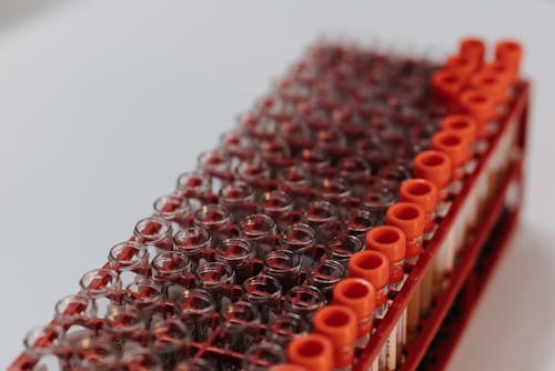 Sugar Wars: How Polyhydroxy Cyclic Amines Are Revolutionizing Disease Treatment  